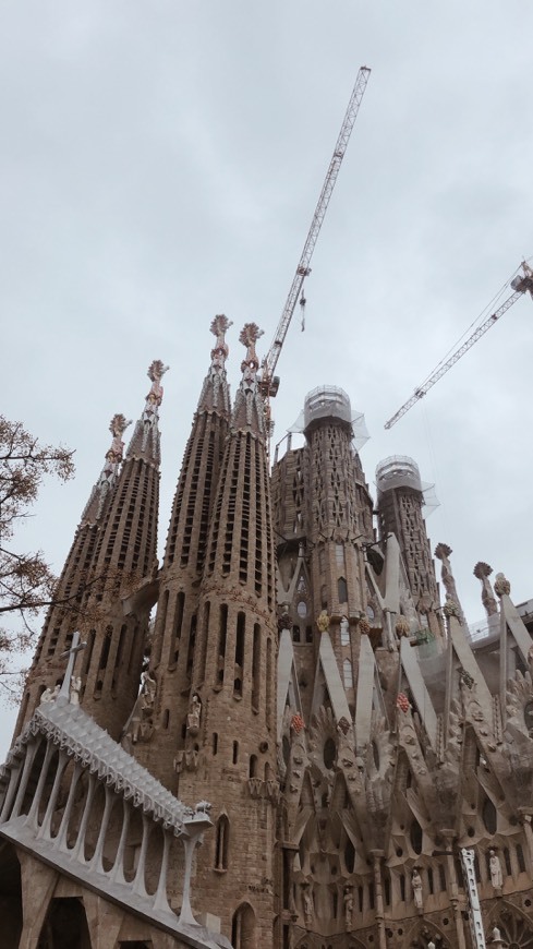 Lugar Basílica Sagrada Familia