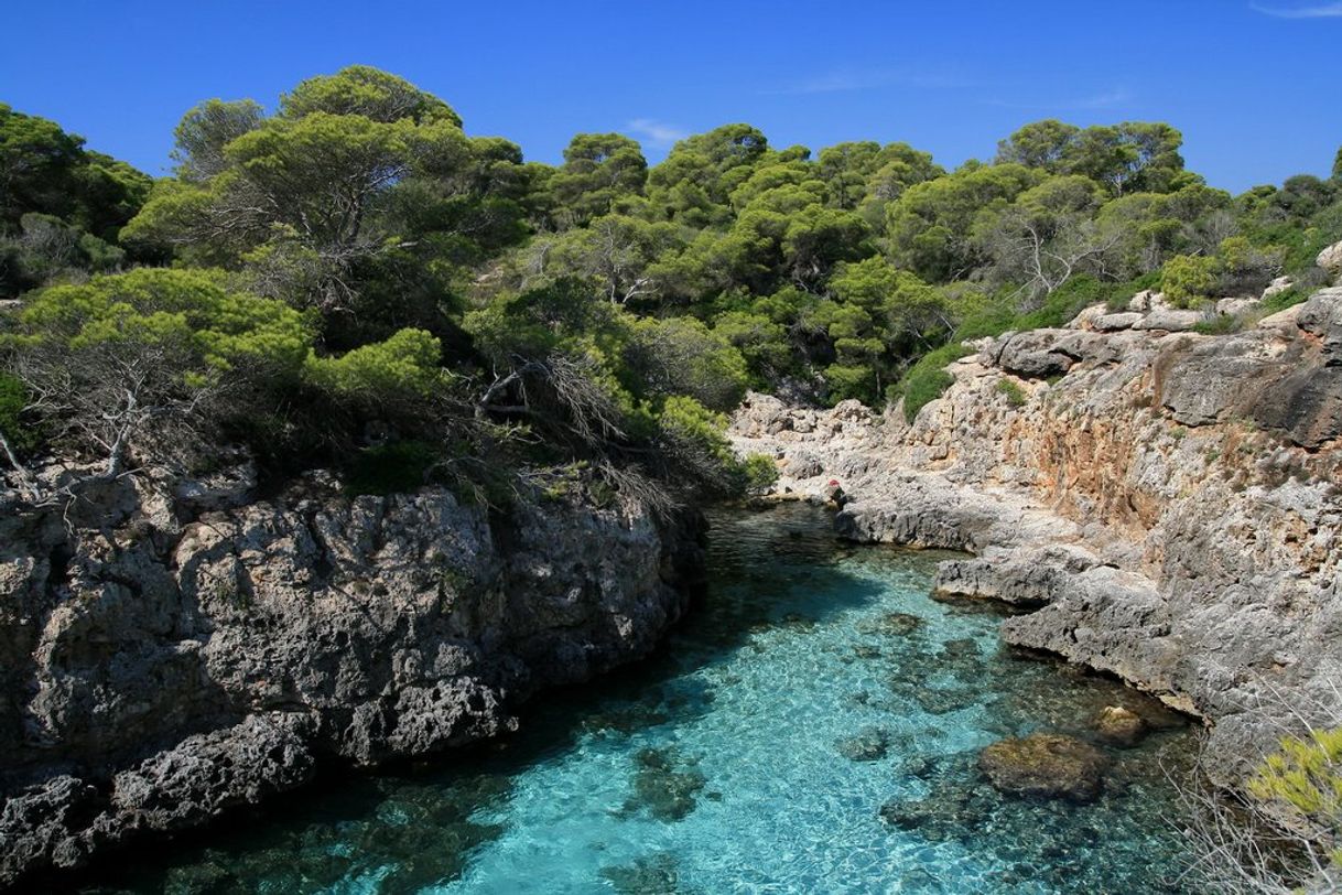 Place Cala Beltran