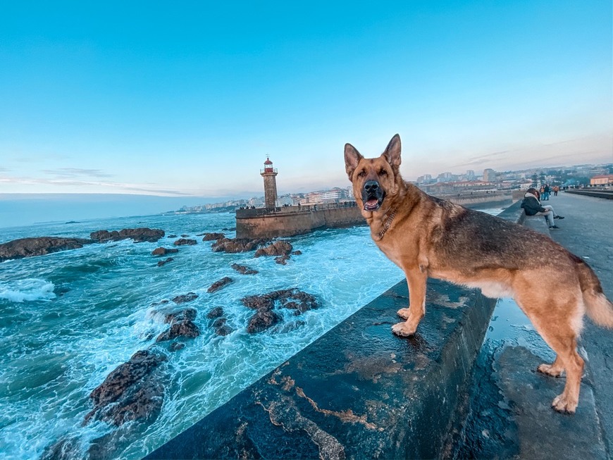 Place Farolins da Barra do Douro