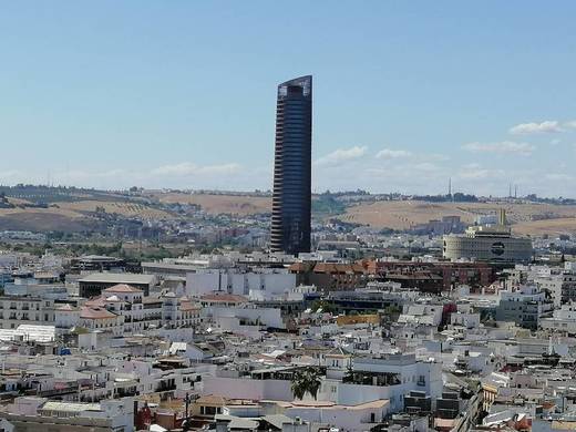 Torre Sevilla