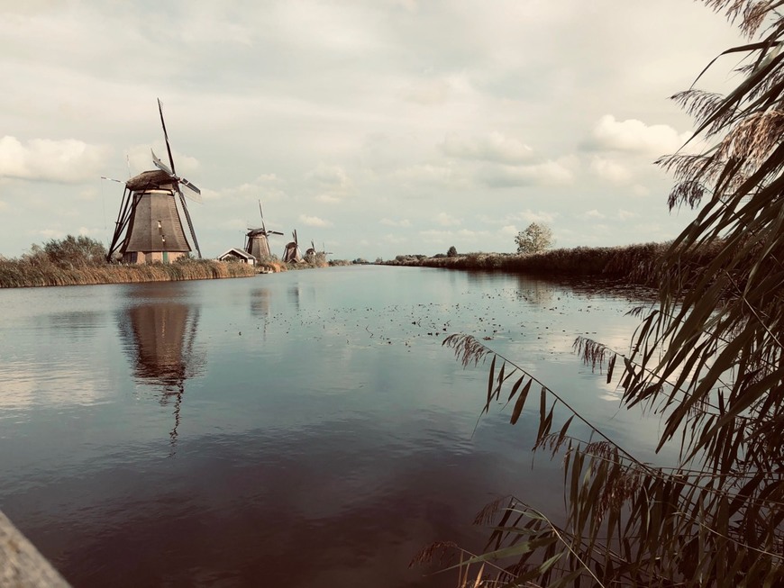 Lugar Kinderdijk