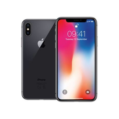 iPhone X