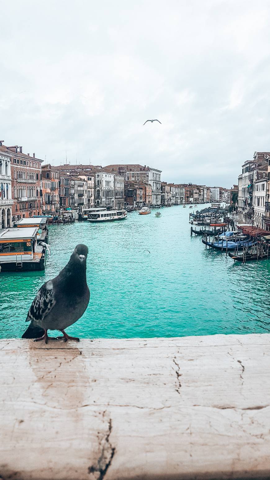 Lugar Gran Canal de Venecia