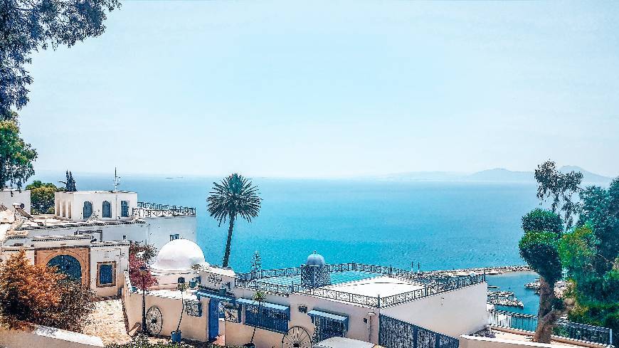 Place Sidi Bou Said