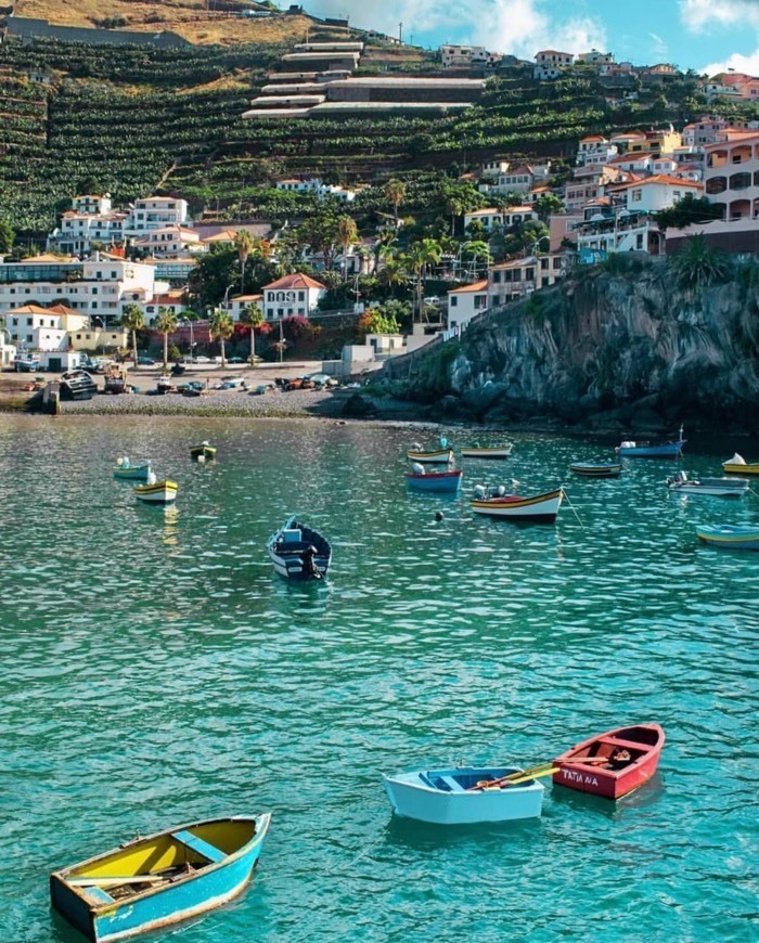 Place Câmara De Lobos