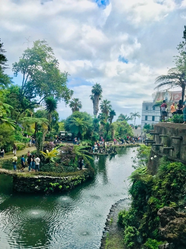 Lugares Jardim Tropical Monte Palace