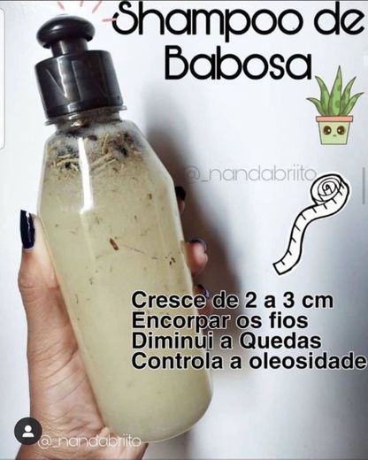 Shampoo babosa