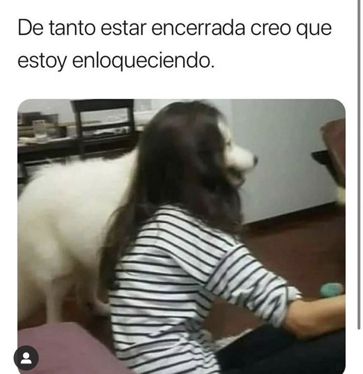 Social Estamos volviéndonos locos 