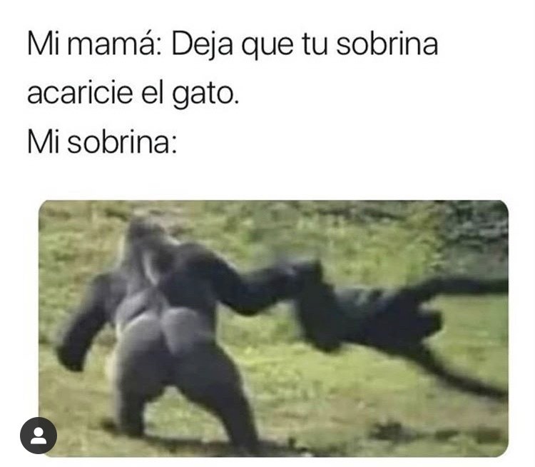 Social ¿Quien tiene una sobrina así?