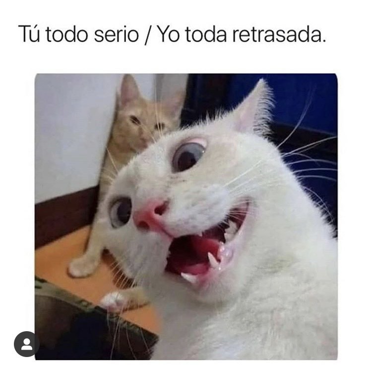 Social “Retarded ON” 🤣