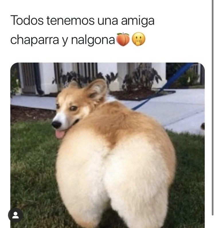 Social Nalgota🍑