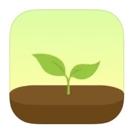 App Forest