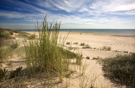 Playa del Saler