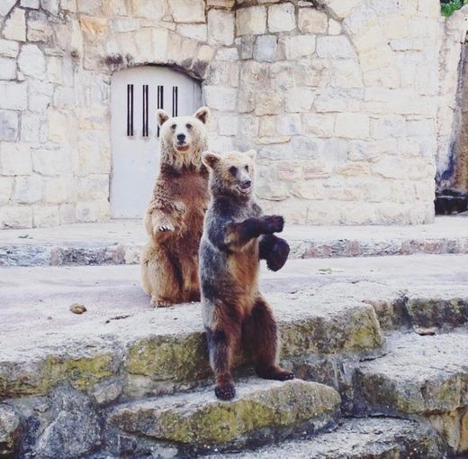 Jardim Zoológico de Lisboa