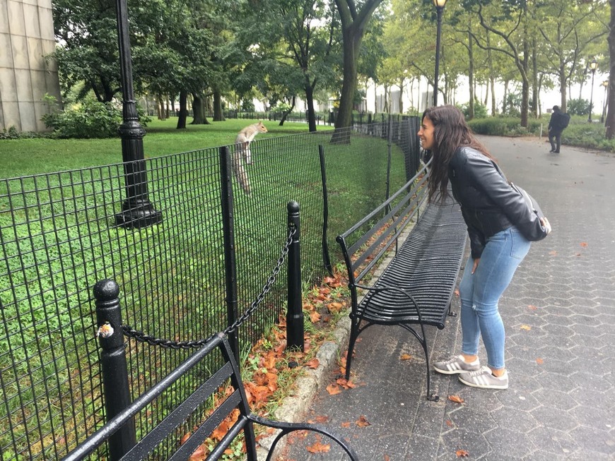 Lugar Battery Park
