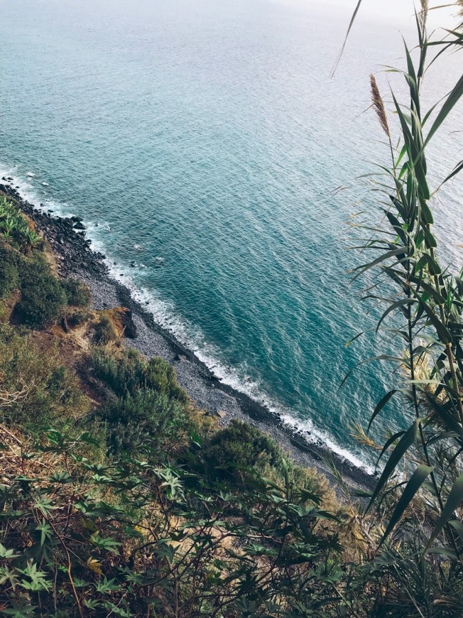 Lugar Praia dos Anjos, Ponta do Sol