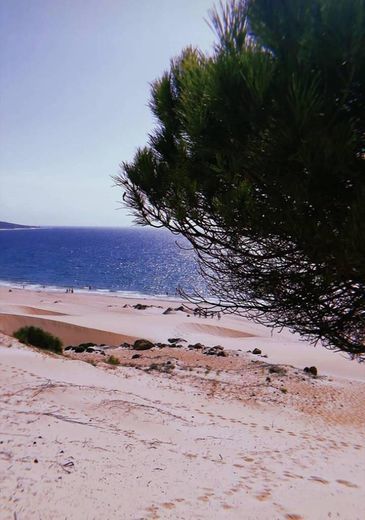 Place Playa de Bolonia