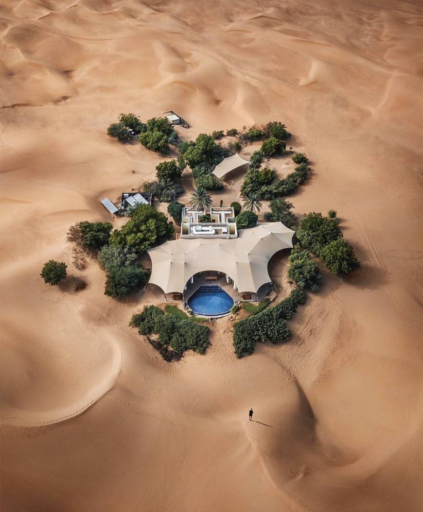 Social 🏜️🏜️