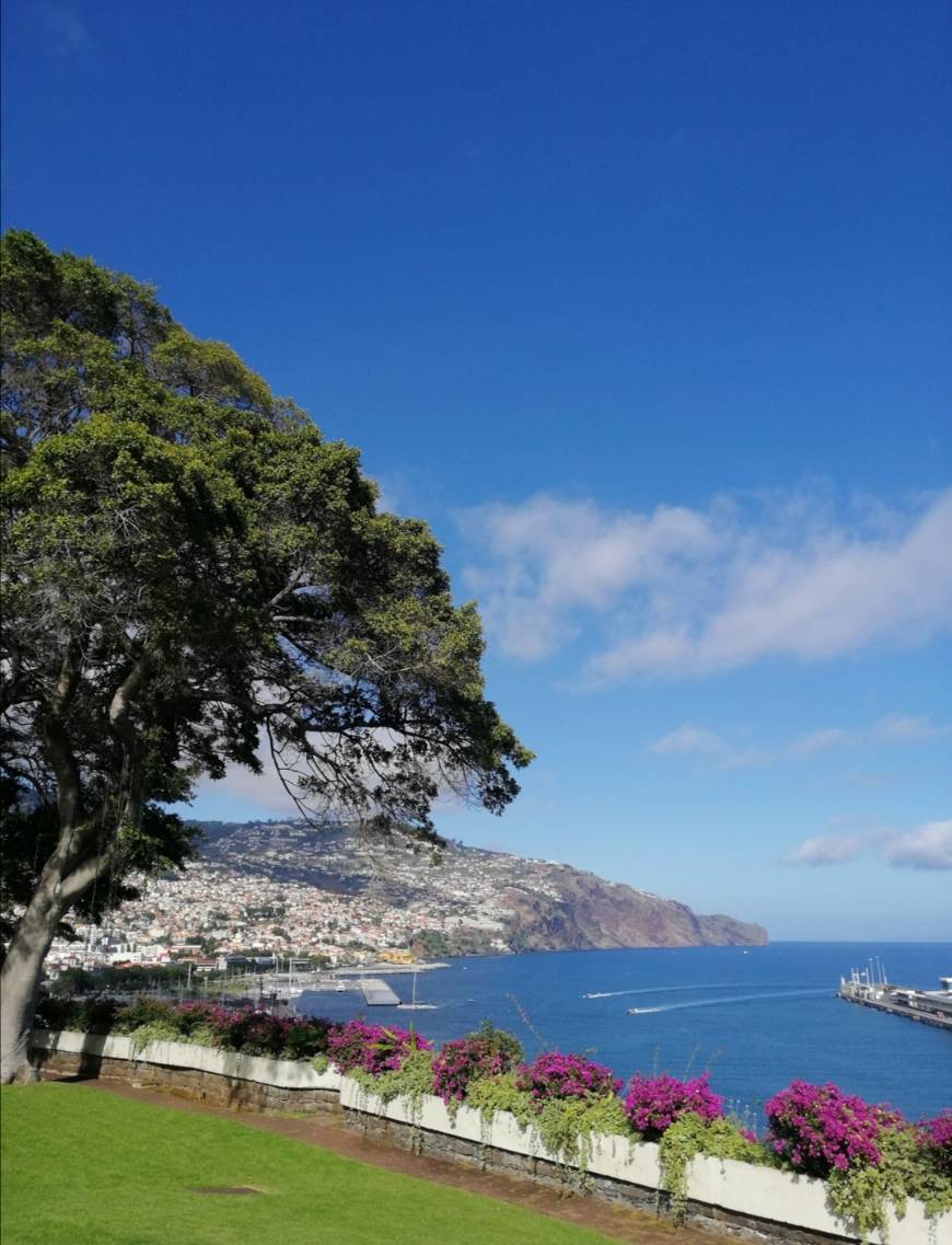 Lugar Funchal