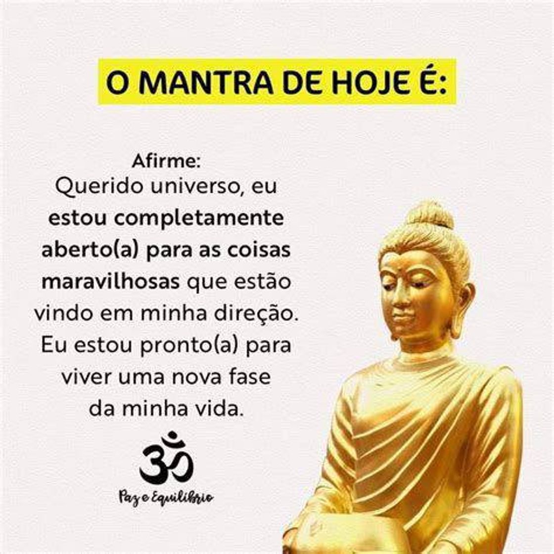 Social Agradeça sempre 