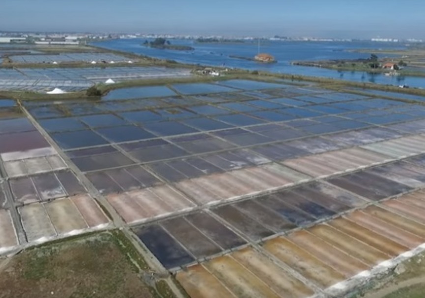 Salinas de Aveiro