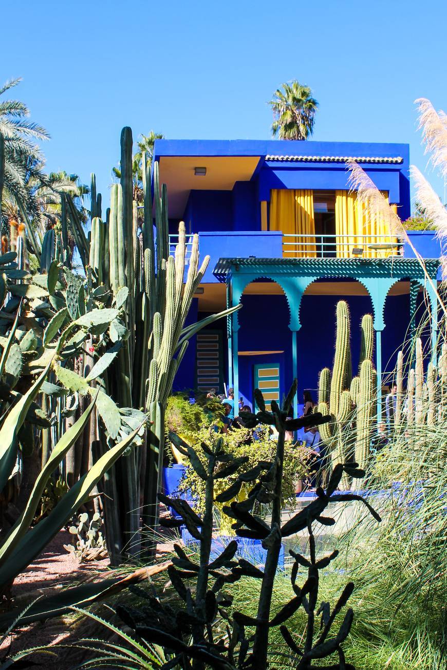 Lugar Jardín Majorelle