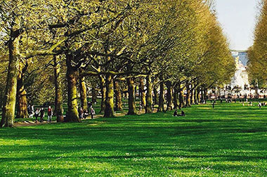 Place Green Park