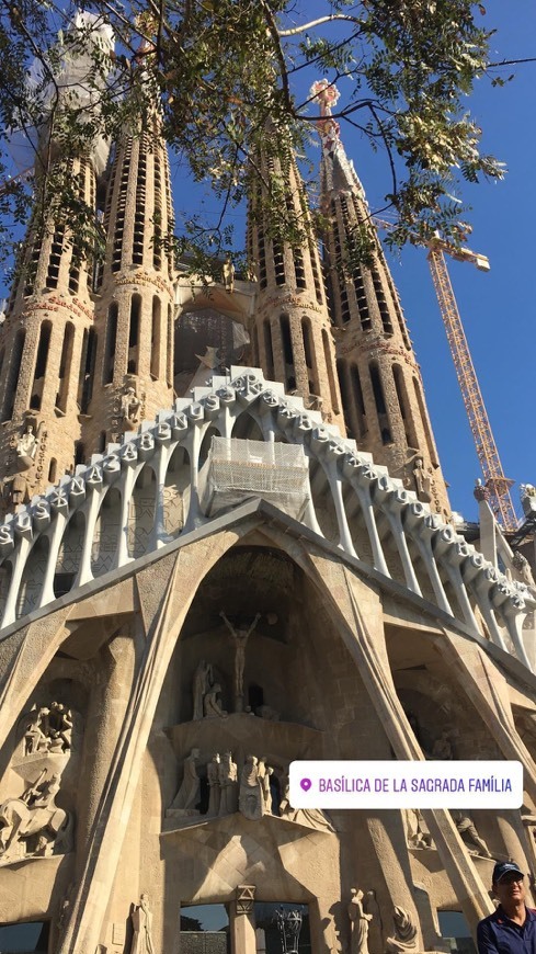 Lugar Basílica Sagrada Familia