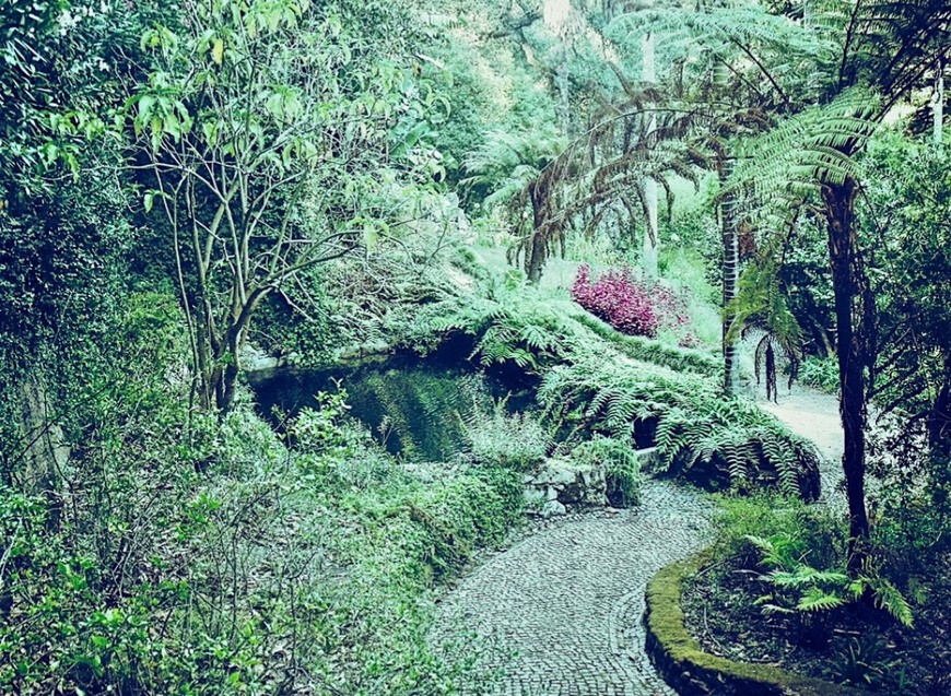 Place Quinta da Regaleira