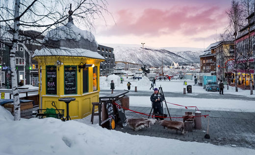 Raketten Bar & Pølse