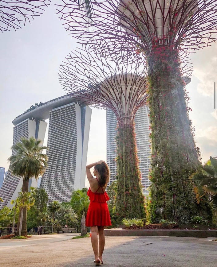 Place Gardens by the Bay