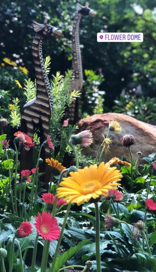 Places Flower Dome