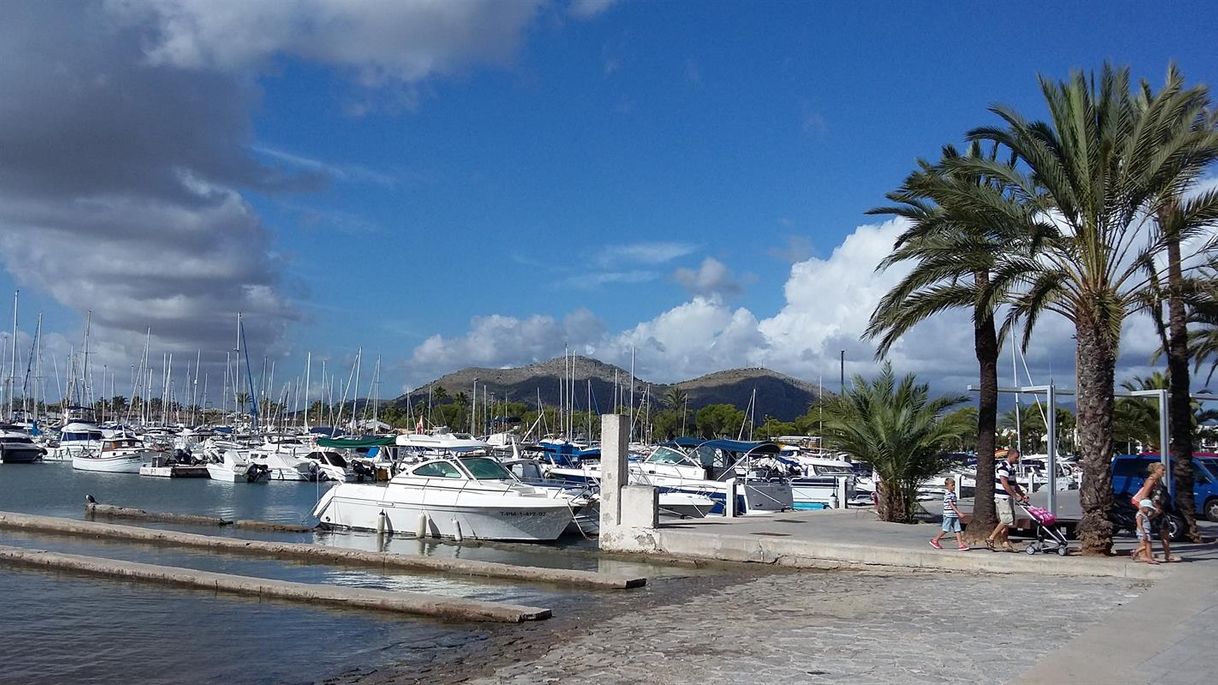 Place Puerto de Alcudia