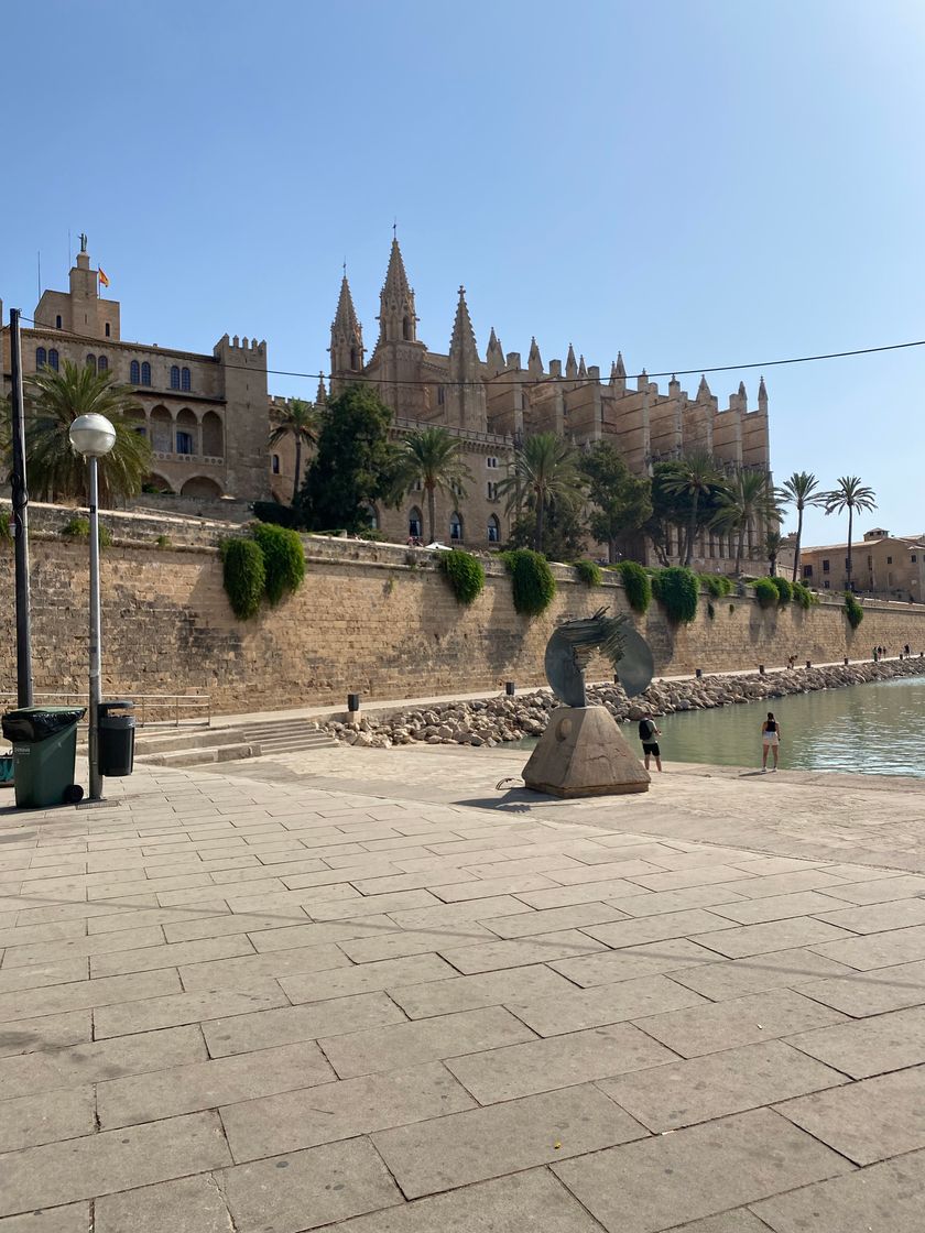 Place Catedral-Basílica de Santa María de Mallorca