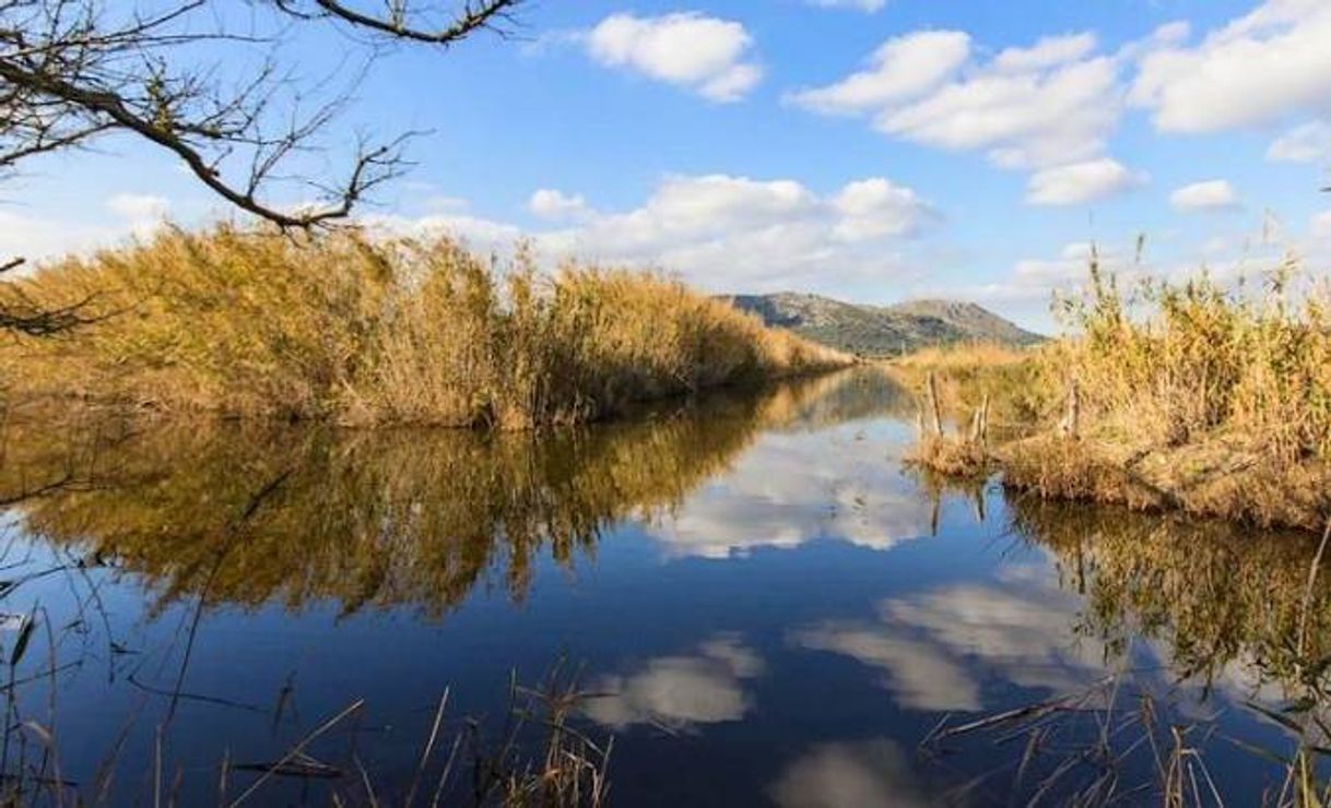 Lugares Parc Natural de s'Albufera de Mallorca