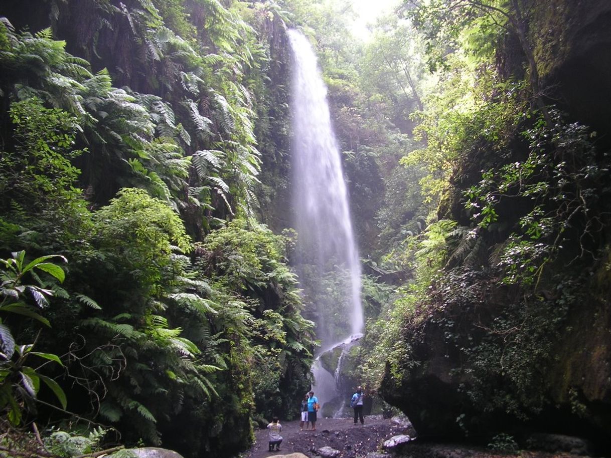 Place Cascada De Los Tilos