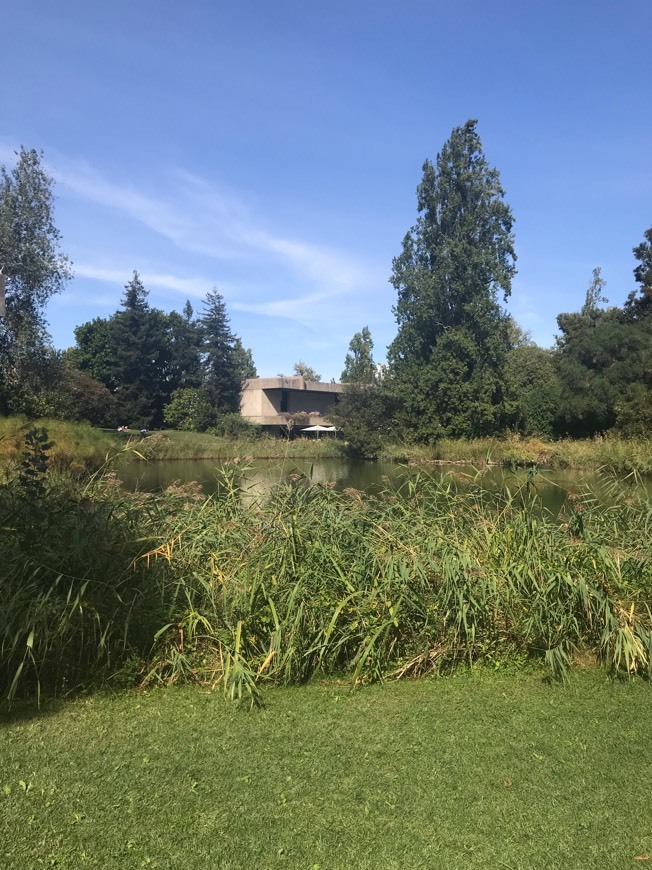 Place Museo Calouste Gulbenkian