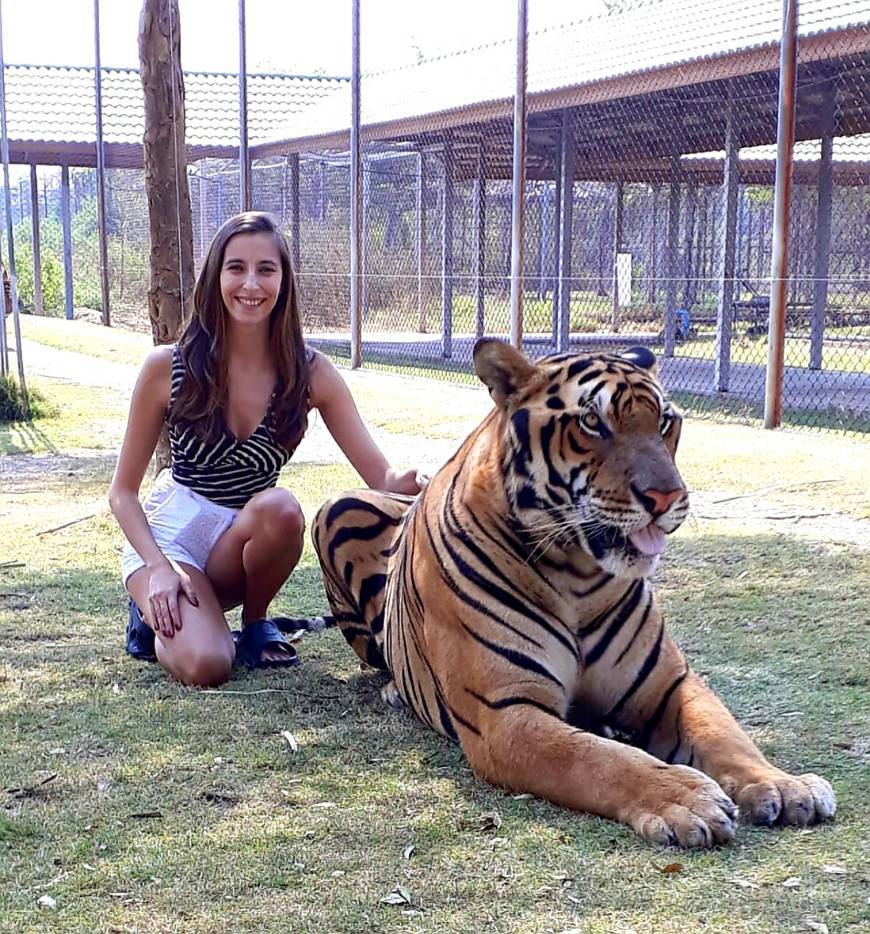 Lugar Tiger World