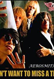 Aerosmith - I don't want to miss a thing