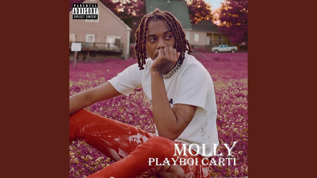 Music Molly Carti 