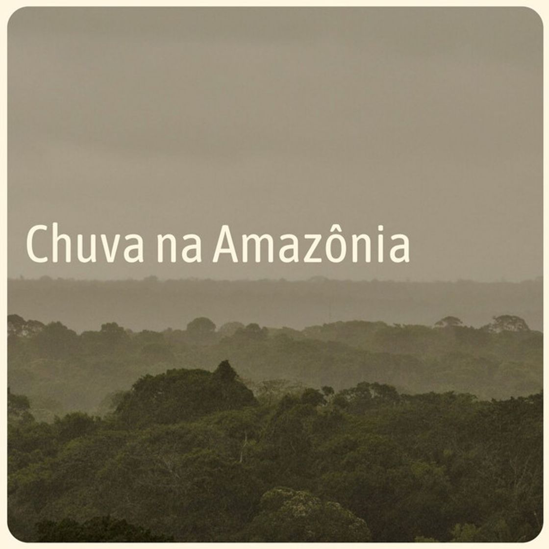 Canción A Canção da Chuva