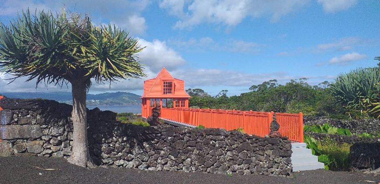 Place Museu do Vinho do Pico