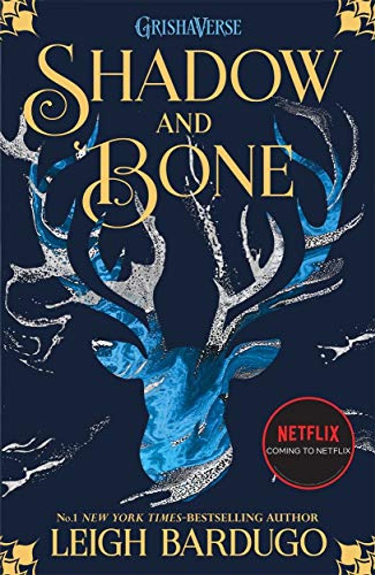 Book Shadow And Bone 1: Soon to be a major Netflix show