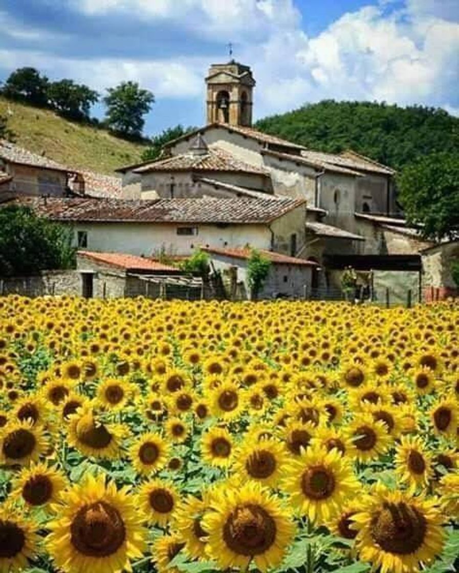 Fashion Toscana, Italia