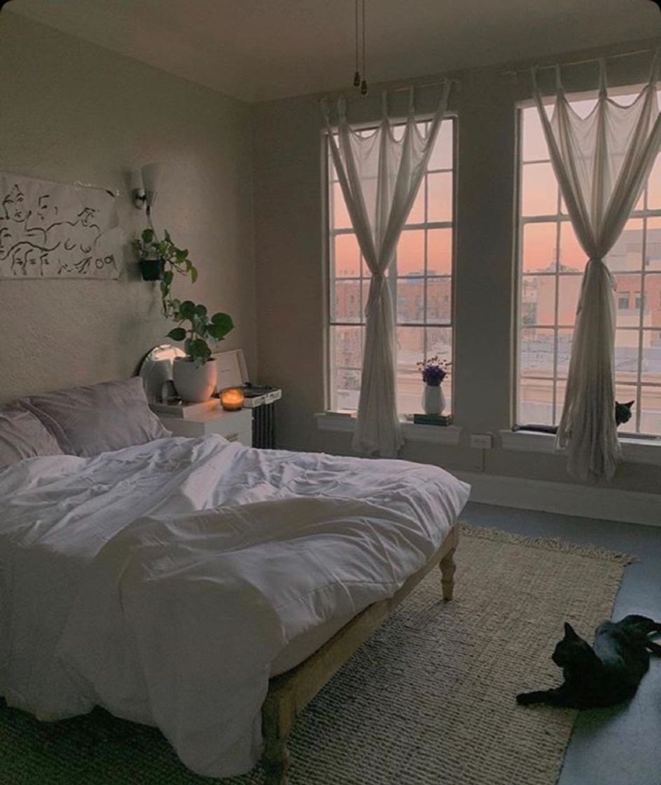 Social Interior design style 