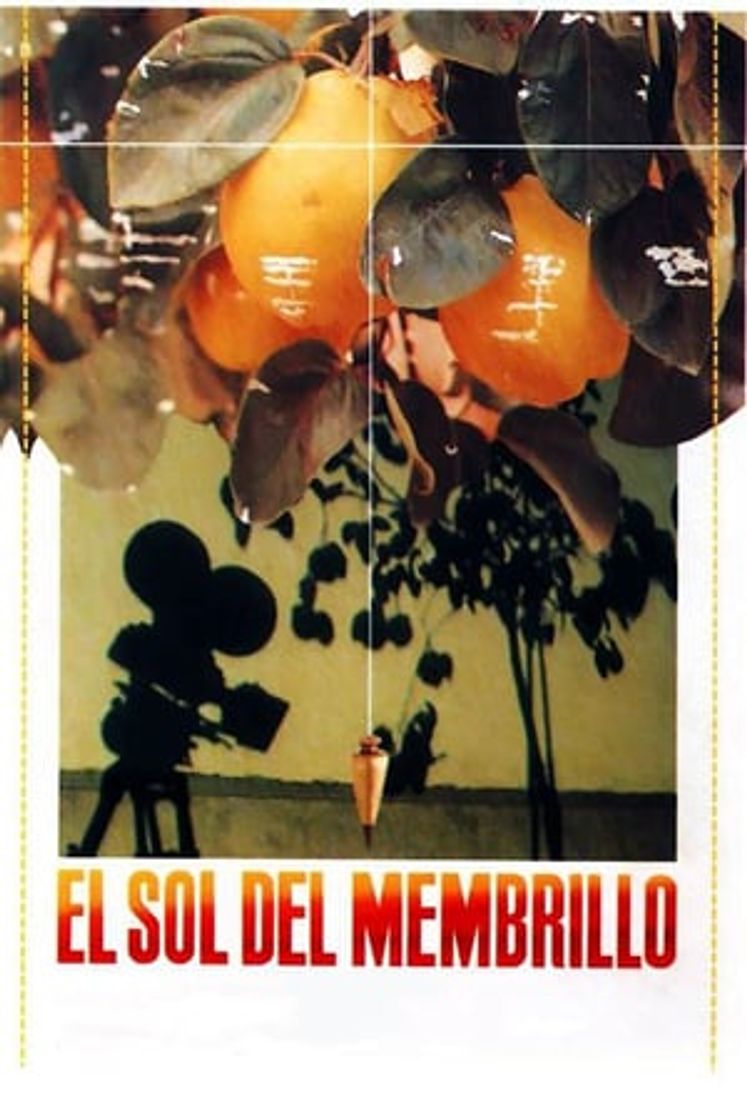 Movie El sol del Membrillo
