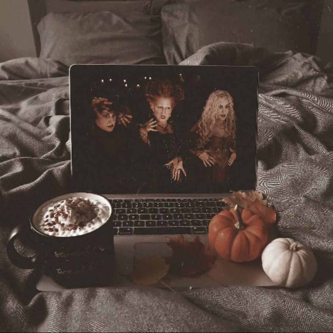 Social 🎃