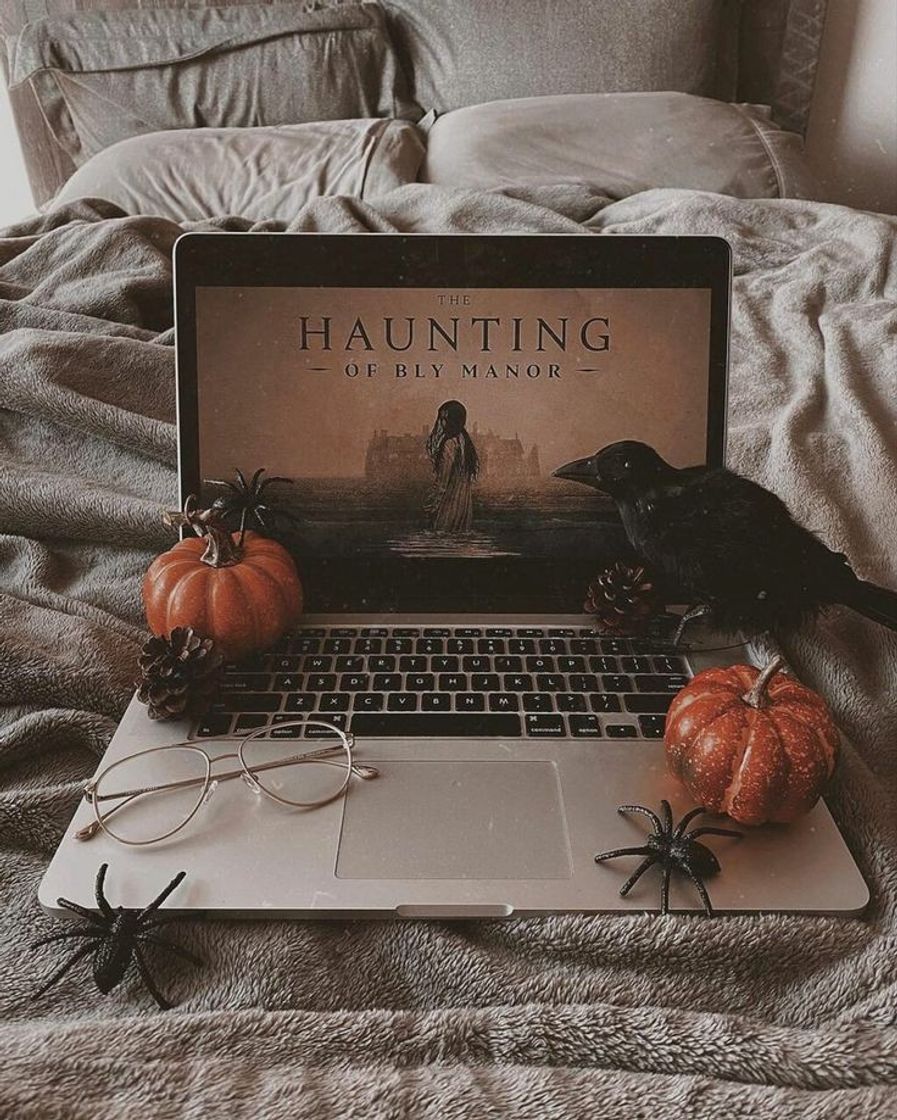 Social 🎃