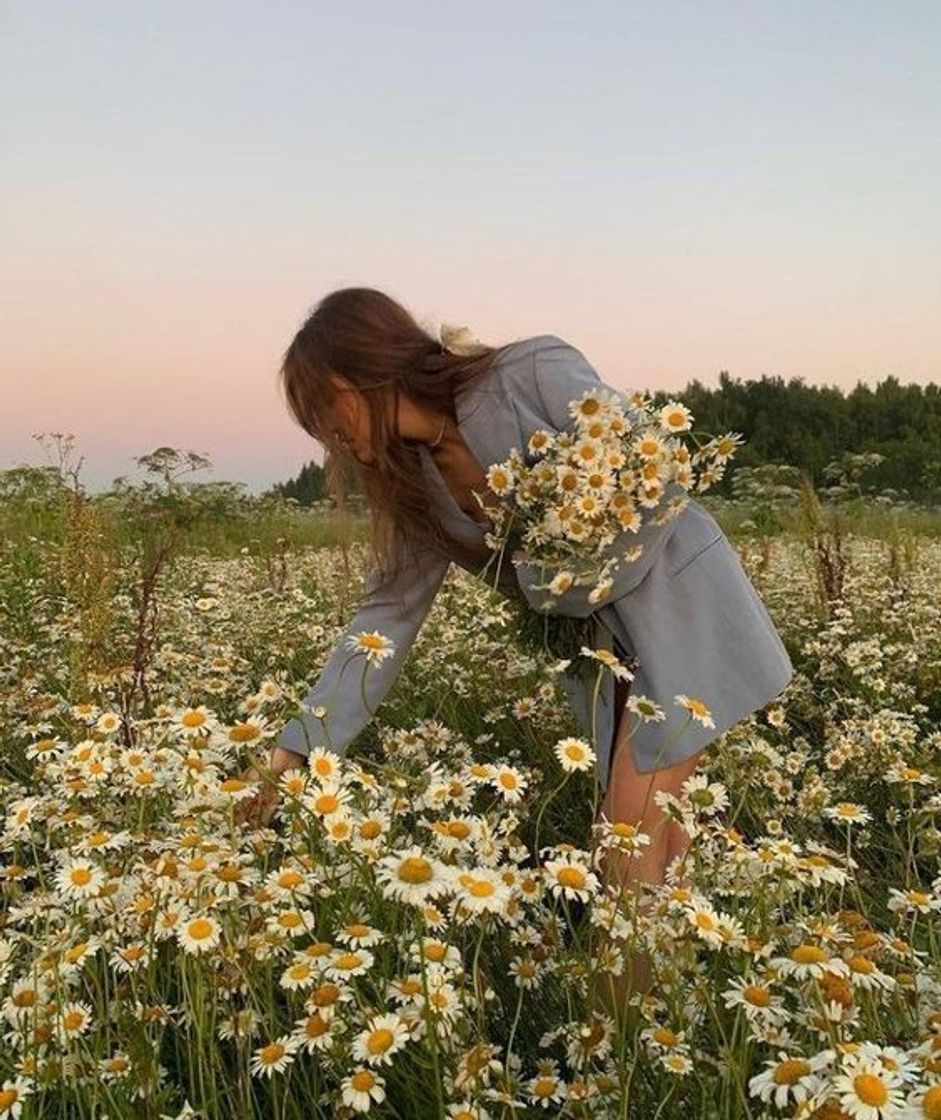 Social 🌼