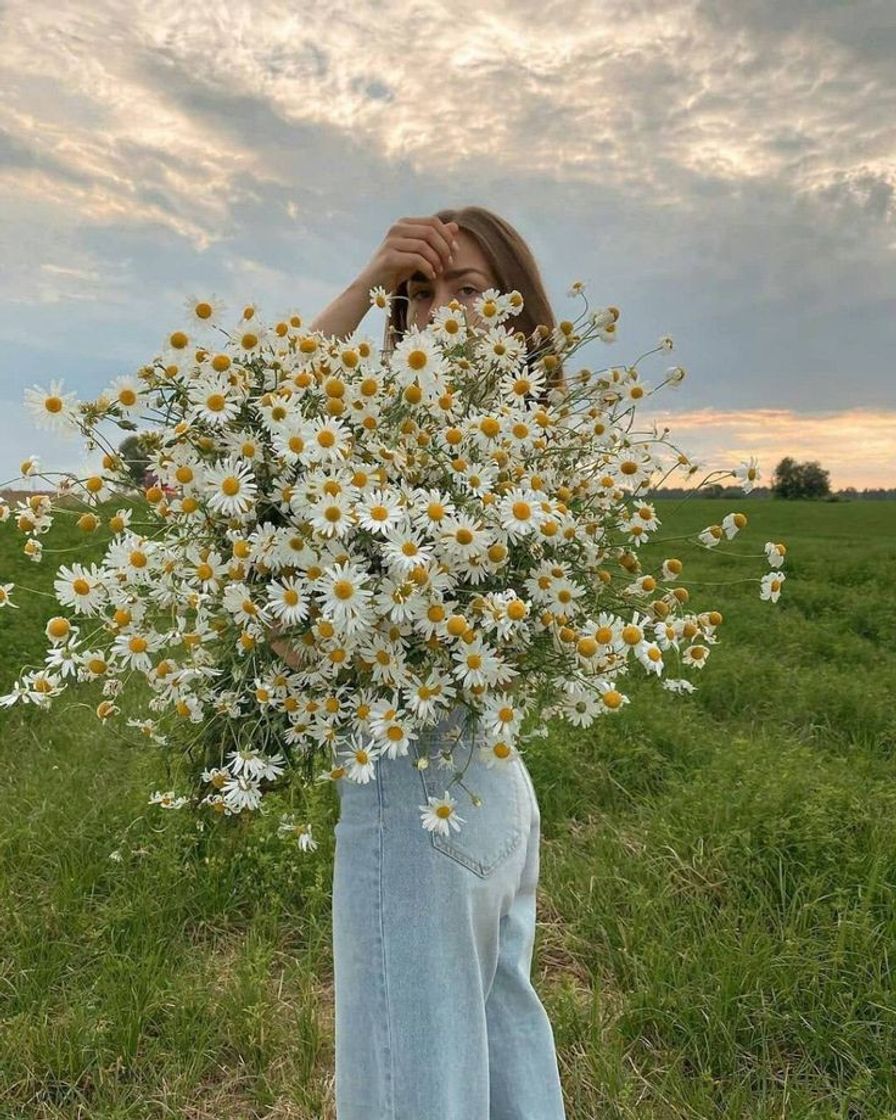 Social 🌼
